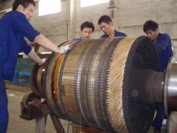 從燒毀原因來分析振動(dòng)電機(jī)預(yù)防措施