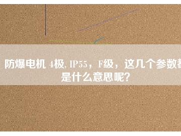 防爆電機(jī) 4極, IP55，F(xiàn)級，這幾個參數(shù)都是什么意思呢？