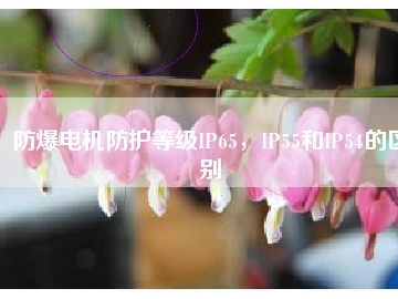 防爆電機防護等級IP65，IP55和IP54的區(qū)別