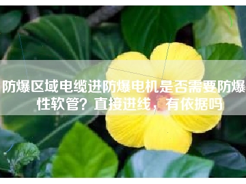 防爆區(qū)域電纜進防爆電機是否需要防爆撓性軟管？直接進線，有依據(jù)嗎