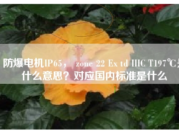 防爆電機IP65， zone 22 Ex td IIIC T197℃是什么意思？對應國內(nèi)標準是什么