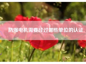 防爆電機需要經(jīng)過哪些單位的認證