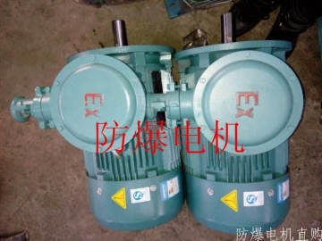 防爆電機(jī)分類：防爆電機(jī)選型、參數(shù)、定義