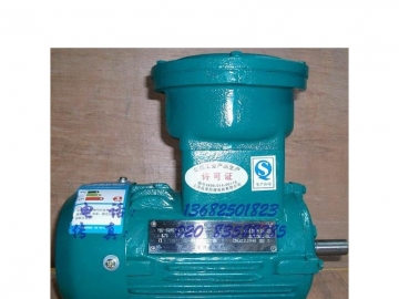防爆電機(jī)啟動(dòng)方法都有哪幾種