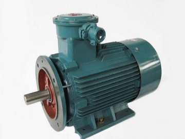 防爆電機驗收時除了銘牌外，還要注意哪些？