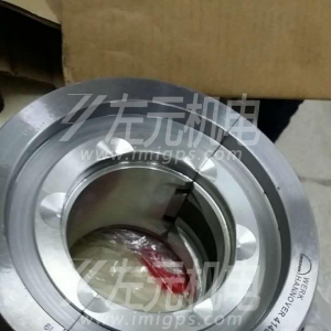 EFZLB 11-110,EFZLB 9-80電機(jī)軸瓦，油封及油環(huán)應(yīng)用于化工行業(yè)電機(jī)