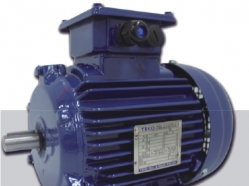 AEEV5N超超高效三相異步電機(jī)（MODEL:TEV5）