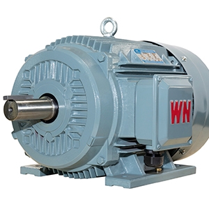 TYCP系列三相變頻驅動永磁同步電動機