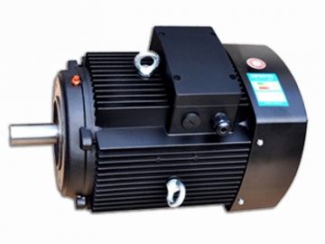 多級(jí)泵專用電機(jī)