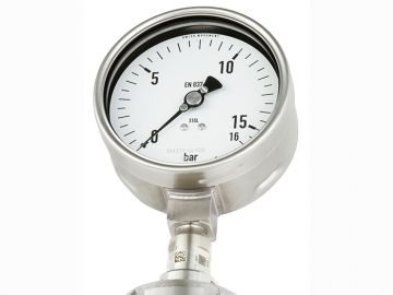 DSS19F符合EN837-1標(biāo)準(zhǔn)的壓力表，帶隔膜密封