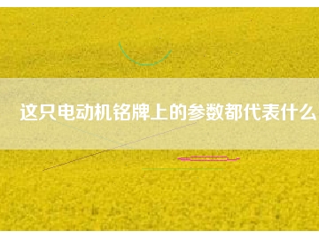 這只電動(dòng)機(jī)銘牌上的參數(shù)都代表什么