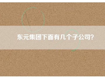 東元集團(tuán)下面有幾個子公司？