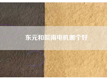 東元和皖南電機(jī)哪個好
