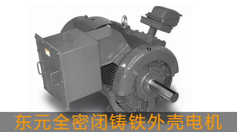 東元高壓電機全密閉鑄鐵外殼電機