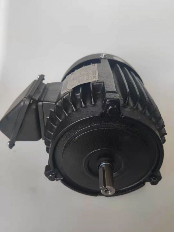 永磁電機(jī) DVEX  400KW  3000RPM  F#315L IE4效率電機(jī)