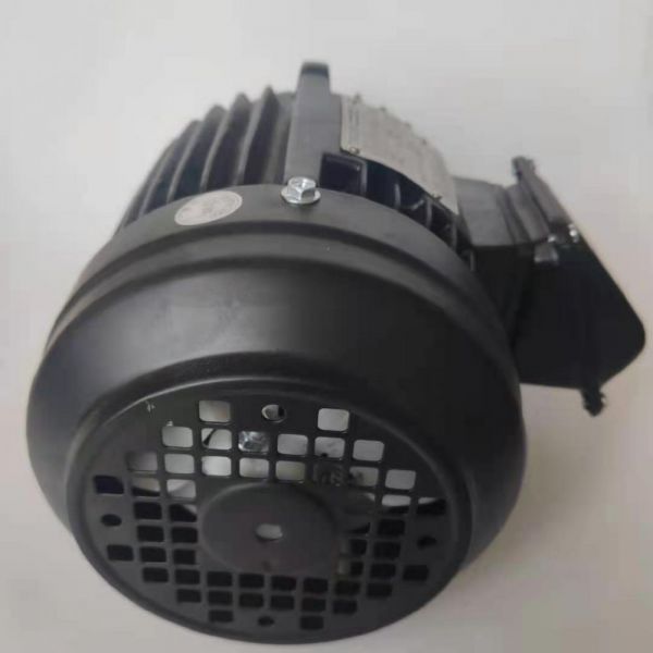 永磁電機(jī) DVEX  400KW  3000RPM  F#315L IE4效率電機(jī)