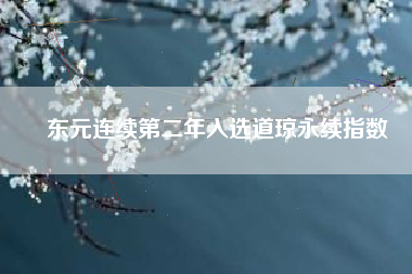 東元連續(xù)第二年入選道瓊永續(xù)指數(shù)