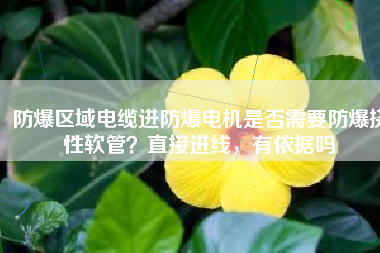 防爆區(qū)域電纜進(jìn)防爆電機(jī)是否需要防爆撓性軟管？直接進(jìn)線，有依據(jù)嗎