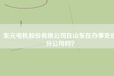 東元電機(jī)股份有限公司在山東在辦事處或分公司嗎？