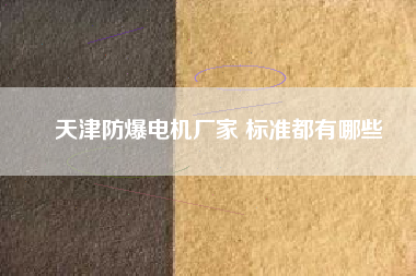 天津防爆電機(jī)廠家 標(biāo)準(zhǔn)都有哪些