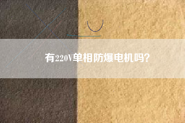 有220V單相防爆電機(jī)嗎？