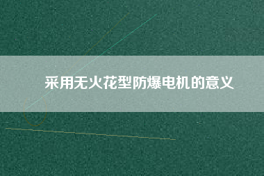 采用無火花型防爆電機(jī)的意義